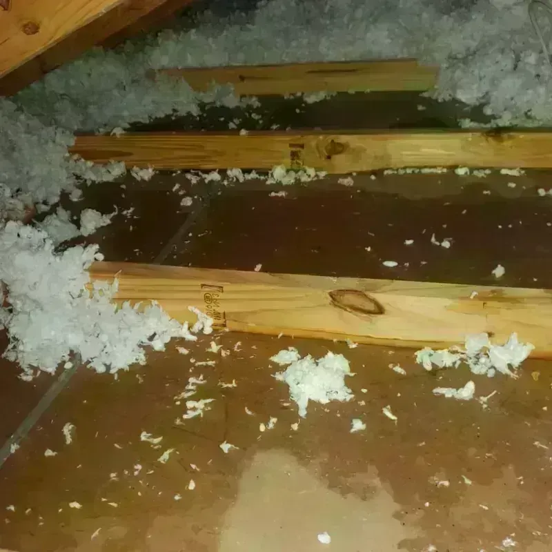 Attic Water Damage in Pawlet, VT